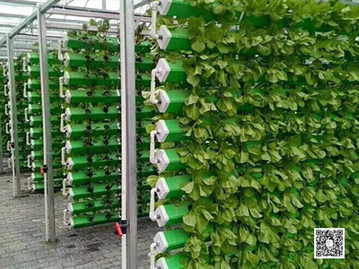 水培温室 垂直种植蔬菜 异型管道 无土栽培设备